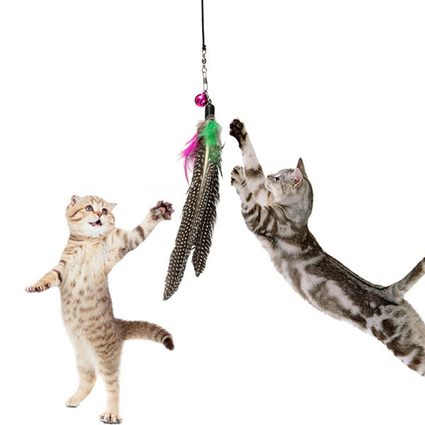 

Cat Toy Feather Teaser Plastic Training Wand Stick Teasers With Bell Kitten Pet Fun