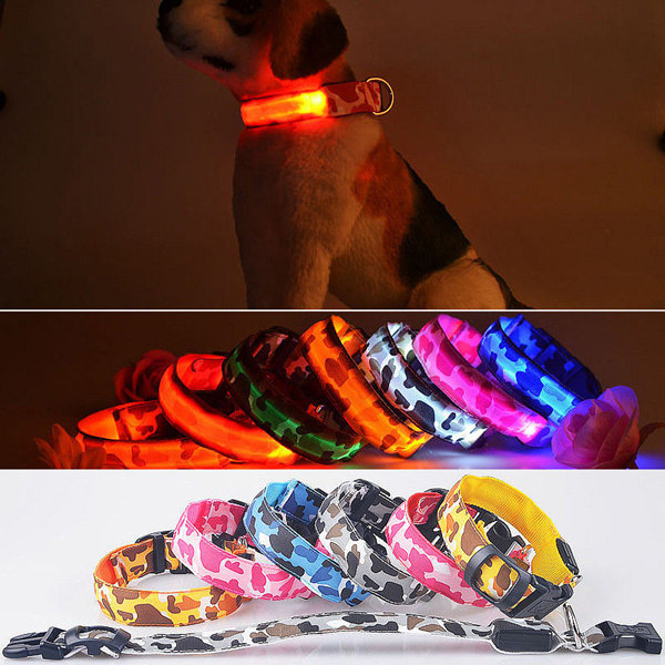 

L Size Pet LED Safety Light-up Flashing Collar Glow In The Dark Dog Leash Fluorescent, Red green blue yellow orange pink white multicolor