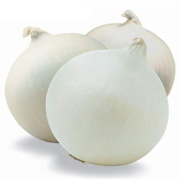 

Egrow 200 Pcs/Pack White Onion Seeds