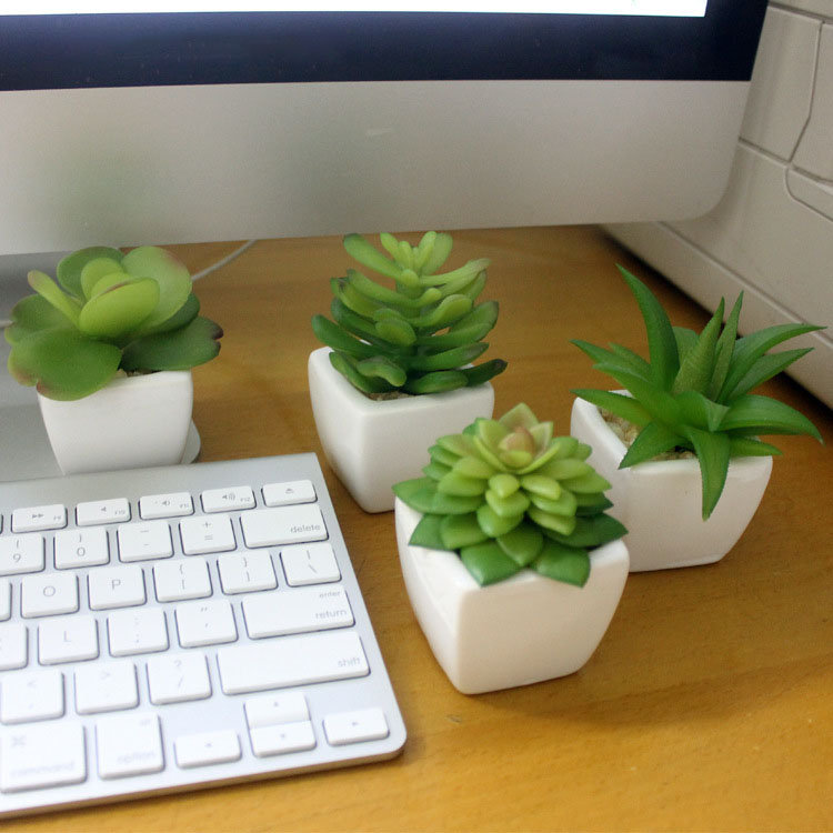 

Simulation Mini Plant Small Potted Four Colors Optional, White