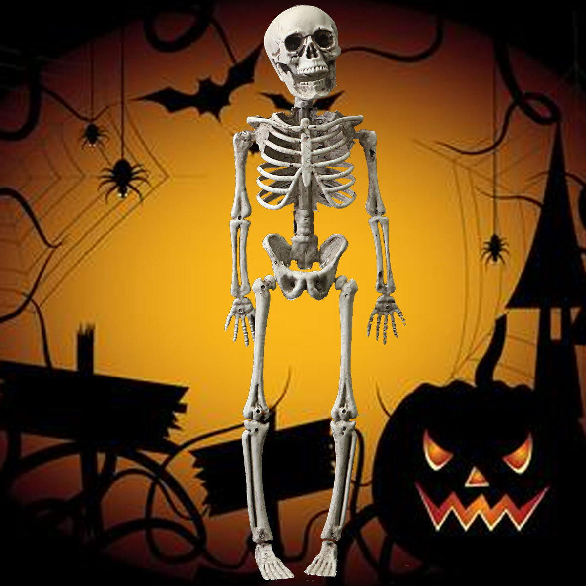 

Halloween Skeleton Skull Science Party Decor Toy