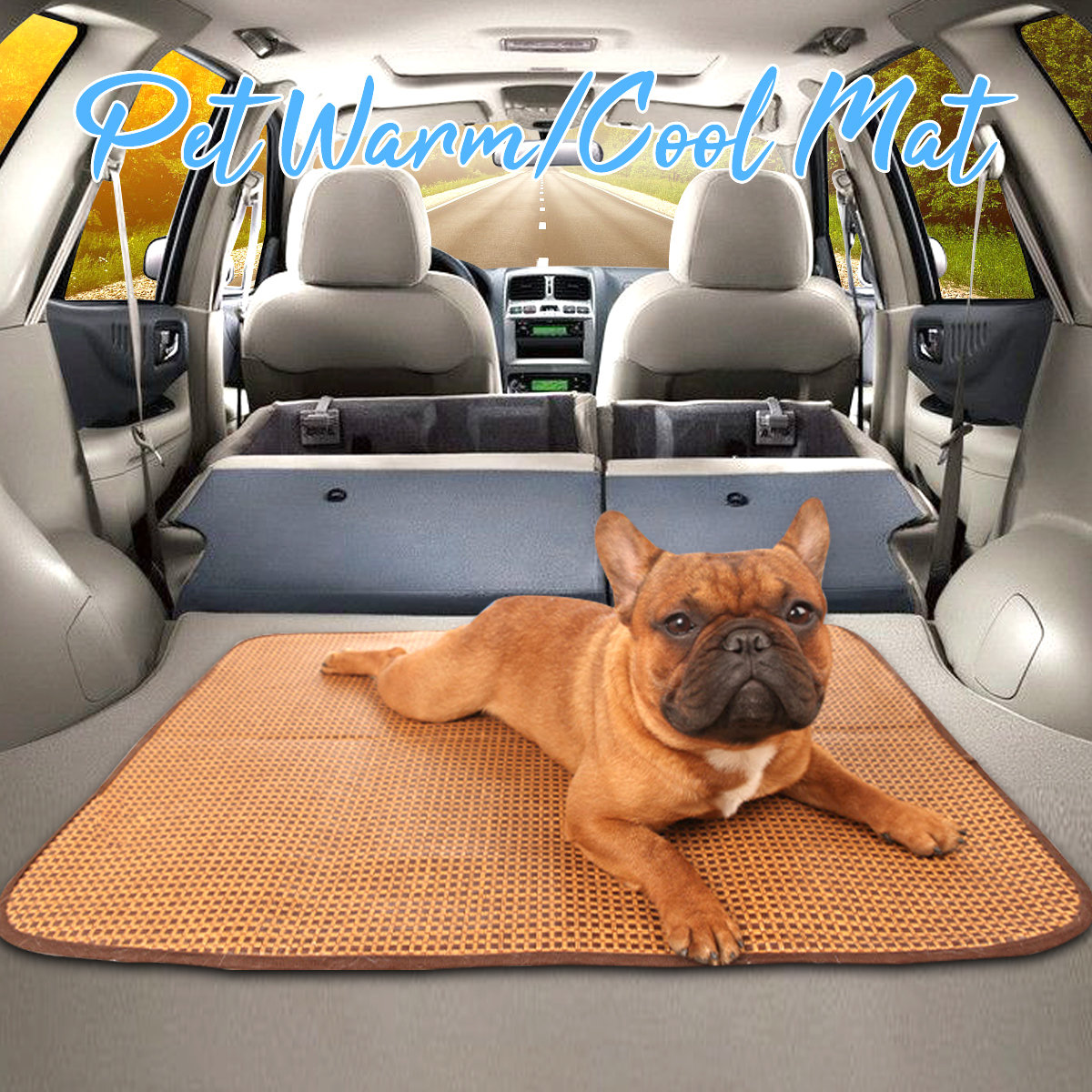 

Double Sided Used Pet Cat Dog Mat, Brown grey blue