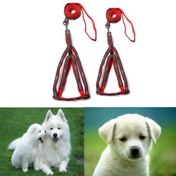 

Adjustable Pet Cat Nylon Harness Collar Safety Walking Leash Lead Dog Harness Supplies, White