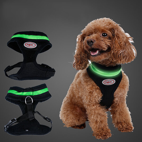 

LED Safety Dog Chest Back Harness Cover Luminous Pet Mesh Chest Back Traction Rope Vest XS-XL, Blue orange green pink